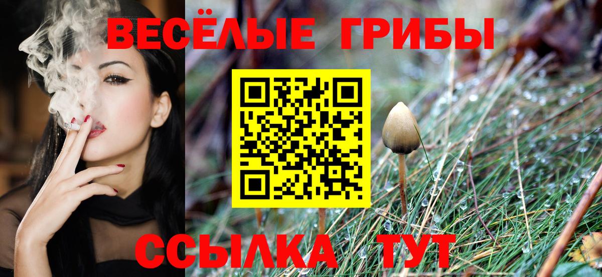 Псилоцибиновые грибы мухоморы Калининград