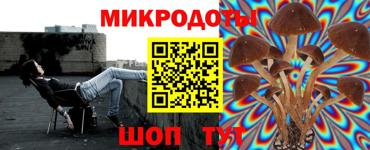 Псилоцибиновые грибы GOLDEN TEACHER  как найти закладки  Калининград  Вход с VPN 